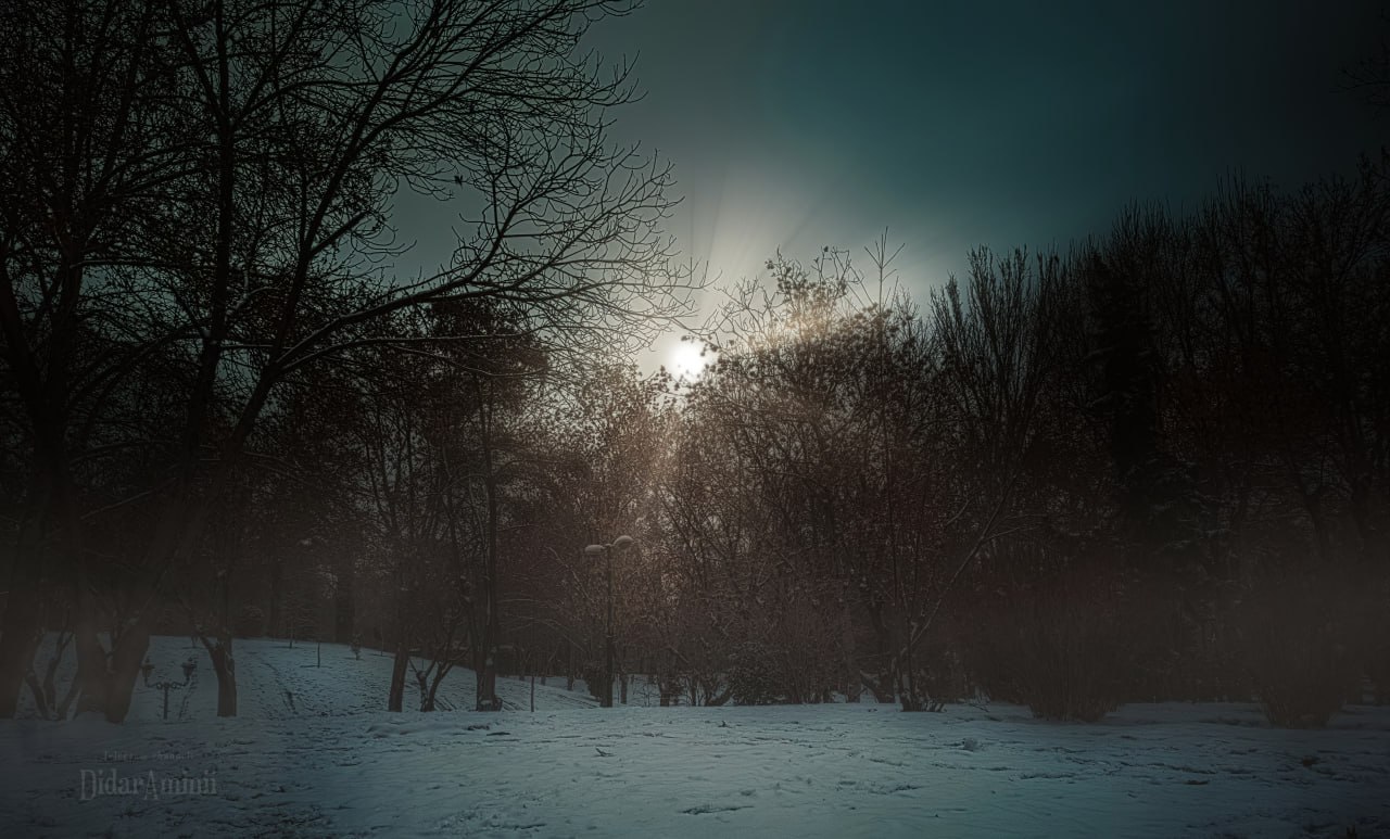 a snowy field with trees and the sun in the background